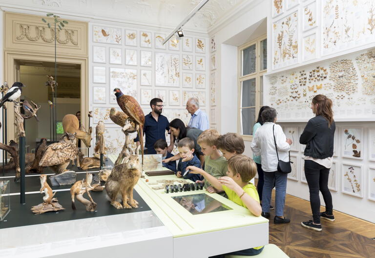 Naturkundemuseum Graz Joanneum